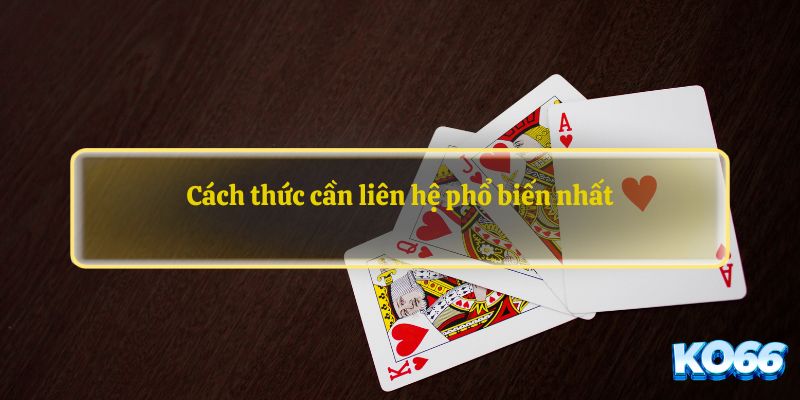 Cách thức cần liên hệ phổ biến nhất