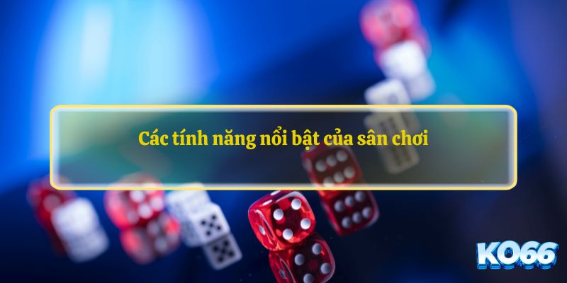 Các tính năng nổi bật của sân chơi