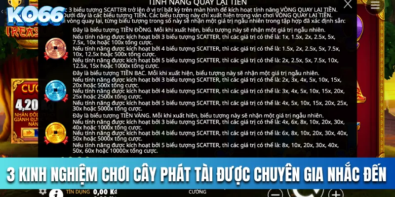 3 kinh nghiệm chơi cây phát tài được chuyên gia nhắc đến